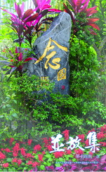 Ping Fong Collection Volume 14
