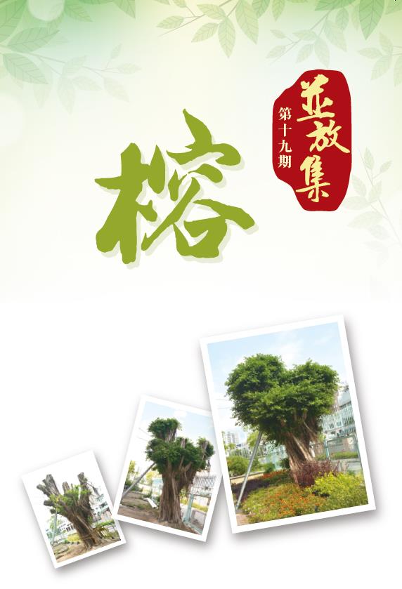 Ping Fong Collection Volume 19